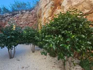 Sale, house, 375m², Kamenovo, Budva - image 22