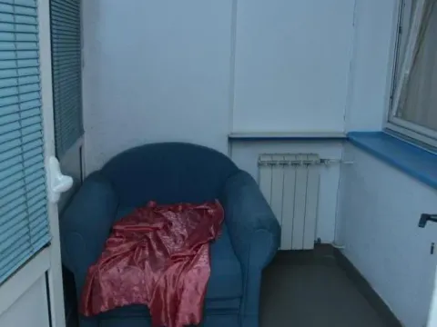 Izdavanje, jednosoban stan, 24m², Zvezdara Sve Podlokacije, Beograd - image 8