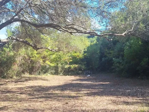 Prodaja, plac, 13750m², Utjeha, Bar - image 10