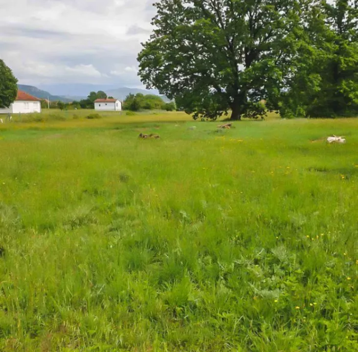 Sale, land lot, 12000m², Spuž, Danilovgrad