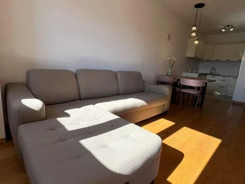 Rent, one bedroom apartment, 46m², New City, Podgorica - image 9