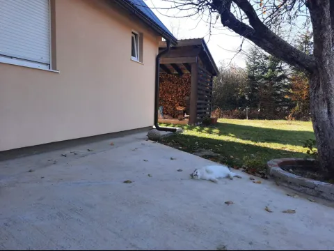 Prodaja, kuća, 70m², Drijenak, Kolašin - image 5