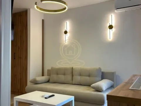 Izdavanje, jednosoban stan, 35m², Stari Grad, Beograd - image 3