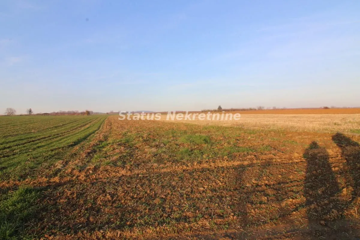 Prodaja, plac, 7700m², Irig, Srbija