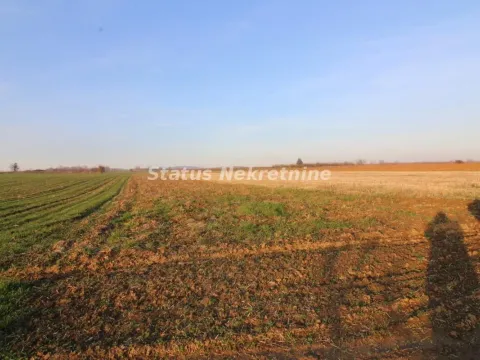 Sale, land lot, 7700m², Irig, Srbija - image 5