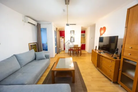 Rent, one bedroom apartment, 55m², Budva, Crna Gora - image 3
