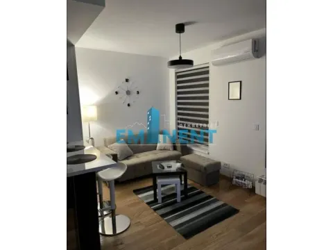 Izdavanje, stan, 35m², Novi Beograd Blok 65, Novi Beograd Sve Podlokacije
