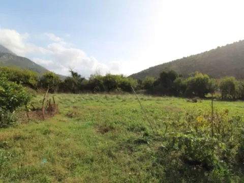 Prodaja, plac, 400m², Tomba, Bar - image 5