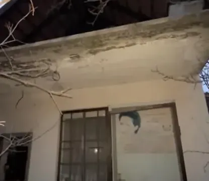 Prodaja, kuća, 72m², Gornji Račnik, Jagodina - image 5