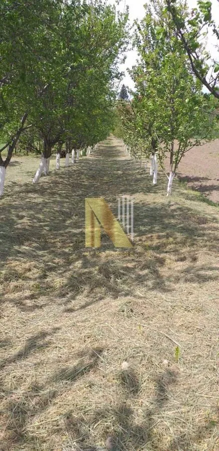 Prodaja, kuća, 65m², Čortanovci, Inđija