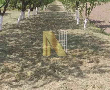 Prodaja, kuća, 65m², Čortanovci, Inđija - image 11