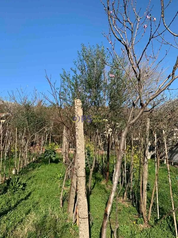Prodaja, plac, 500m², Bar, Crna Gora