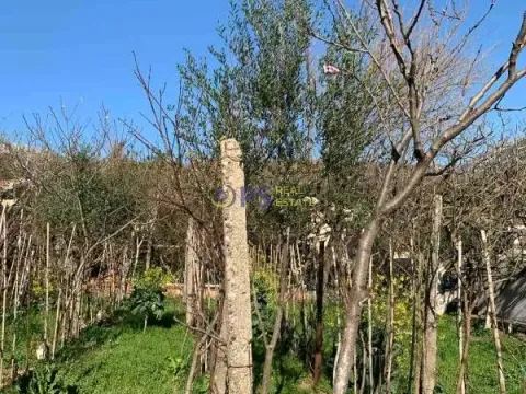 Prodaja, plac, 500m², Bar, Crna Gora - image 2