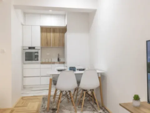 Izdavanje, jednosoban stan, 42m², Tuški Put, Podgorica - image 5