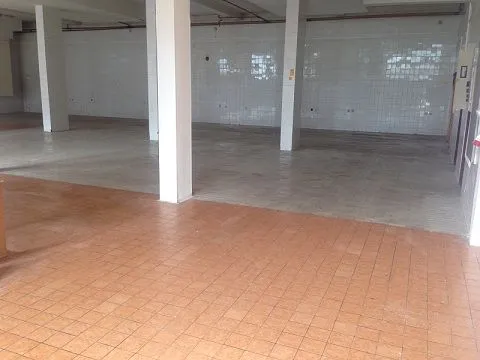 Rent, office space, 550m², Altina, Beograd