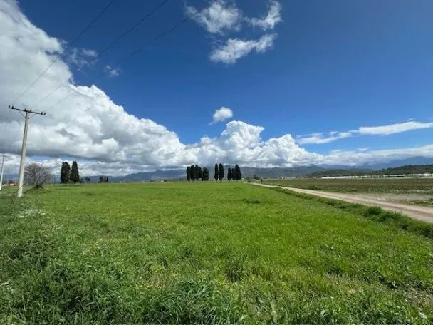 Prodaja, plac, 100000m², Zeta, Podgorica