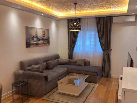 Izdavanje, jednosoban stan, 49m², Central Point, Podgorica