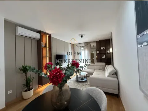 Izdavanje, jednosoban stan, 46m², Centar, Podgorica - image 14