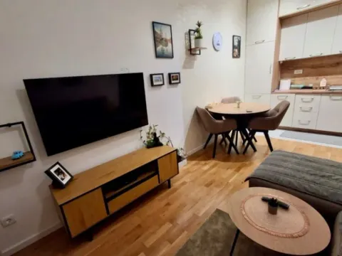 Izdavanje, jednosoban stan, 34m², Tološi, Podgorica - image 4