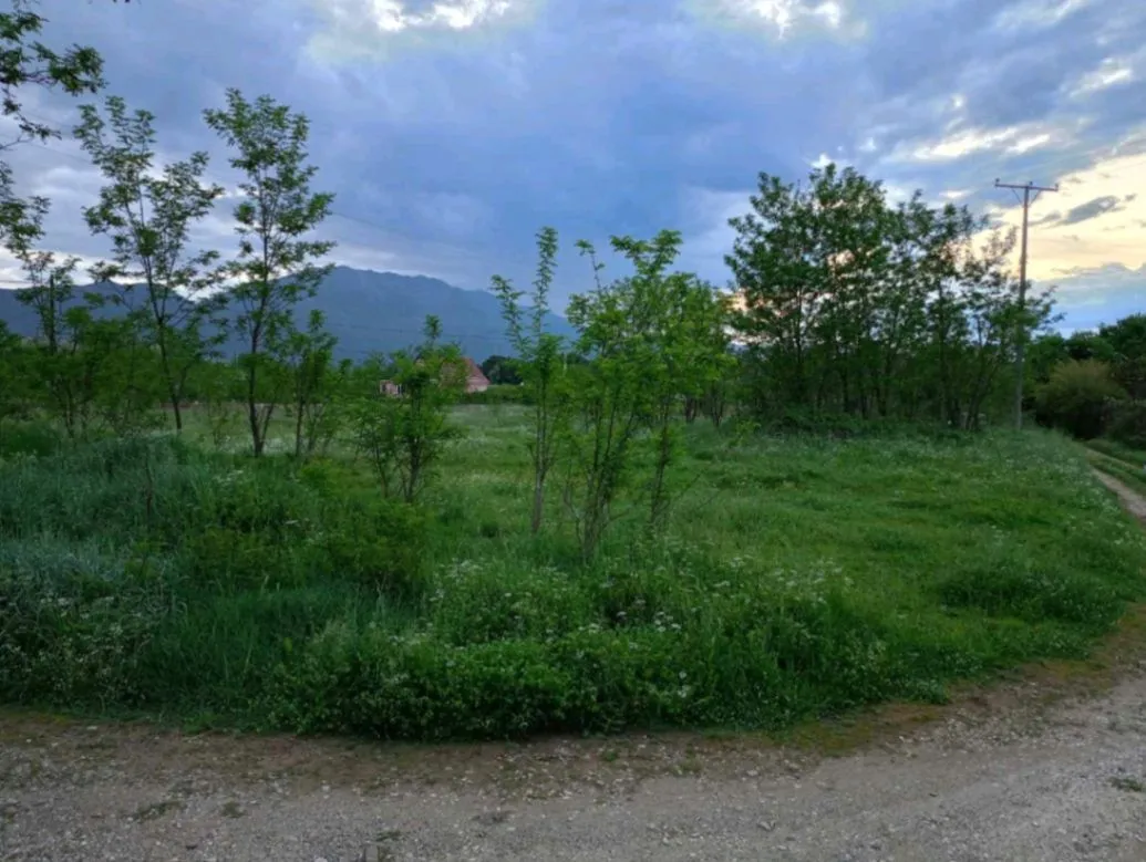 Izdavanje, plac, 9000m², Danilovgrad, Crna Gora