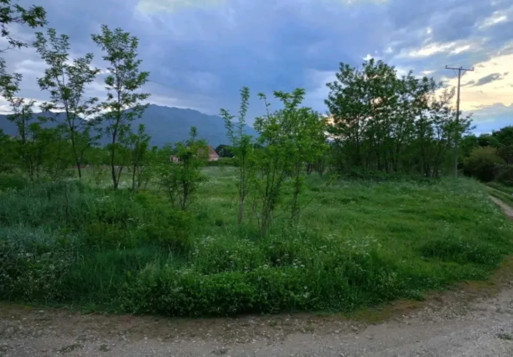 Rent, land lot, 9000m², Danilovgrad, Crna Gora