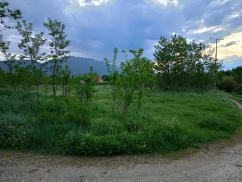 Izdavanje,  zemljište, 9000m2, Danilovgrad