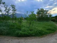 Rent, land lot, 9000m², Danilovgrad, Crna Gora - image 1