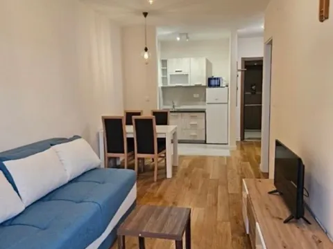 Izdavanje, jednosoban stan, 41m², Central Point, Podgorica - image 3