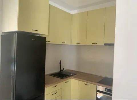 Izdavanje, jednosoban stan, 42m², Centar, Podgorica - image 4