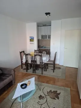 Rent, one bedroom apartment, 43m², Nova Detelinara, Novi Sad Sve Podlokacije - image 3