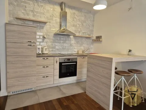 Izdavanje, dvosoban stan, 45m², Vračar Hram, Vračar Sve Podlokacije - image 4