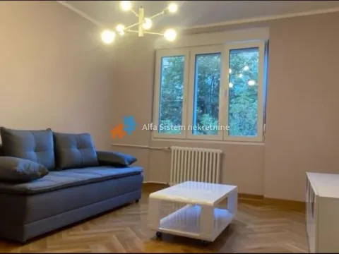 Izdavanje, dvosoban stan, 61m², Vračar Hram, Vračar Sve Podlokacije - image 2