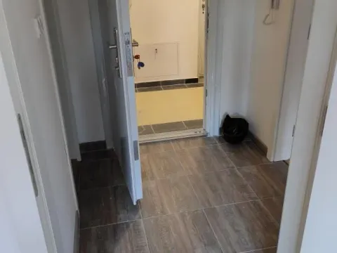 Rent, two bedroom apartment, 50m², Centar, Novi Sad - image 10