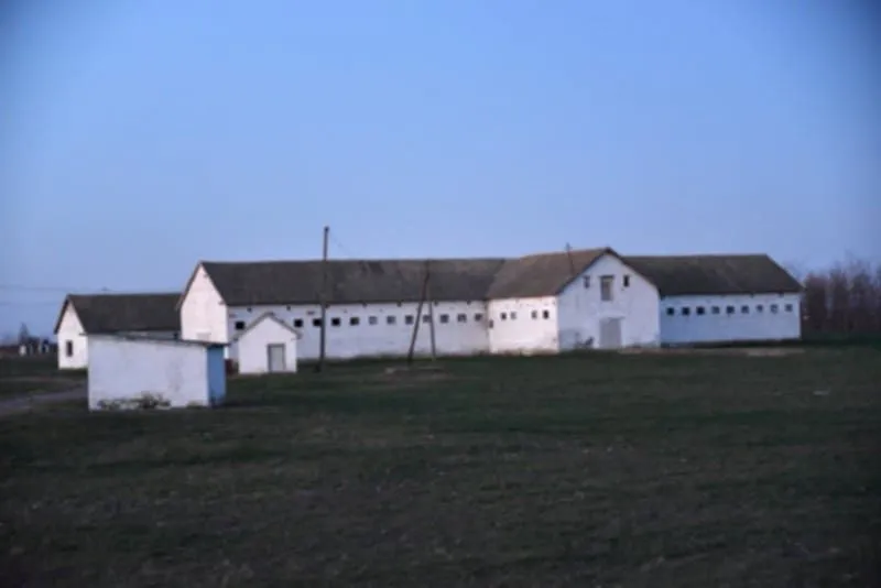 Eksterijer seoskog imanja sa belim pomoćnim objektima i travnjakom.