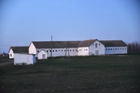 Eksterijer seoskog imanja sa belim pomoćnim objektima i travnjakom. - image 6