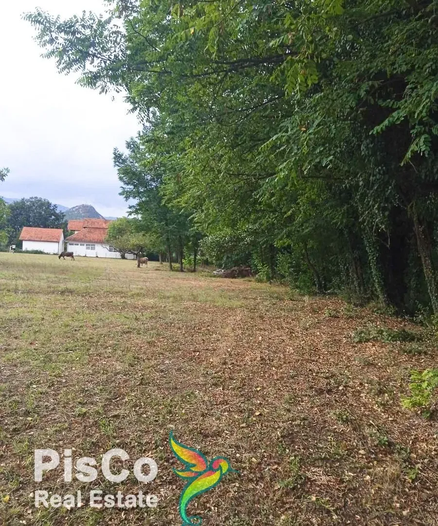 Prodaja, plac, 4700m², Danilovgrad, Crna Gora