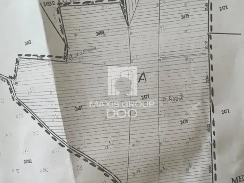 Prodaja, plac, 64800m², Kosmaj, Sopot - image 5