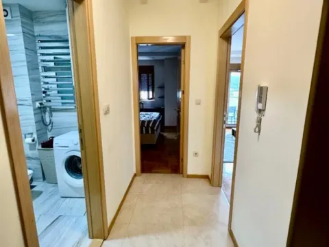 Izdavanje, jednosoban stan, 55m², Preko Morače, Podgorica - image 10