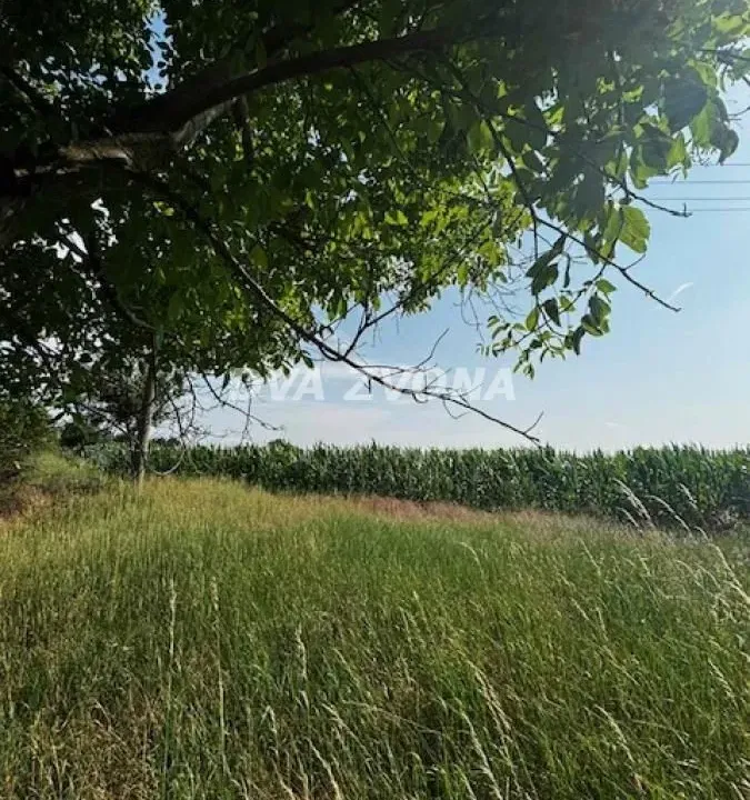 Sale, land lot, 4700m², Čortanovci, Inđija