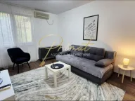 Izdavanje, jednosoban stan, 31m², Kotež, Palilula Sve Podlokacije - image 1