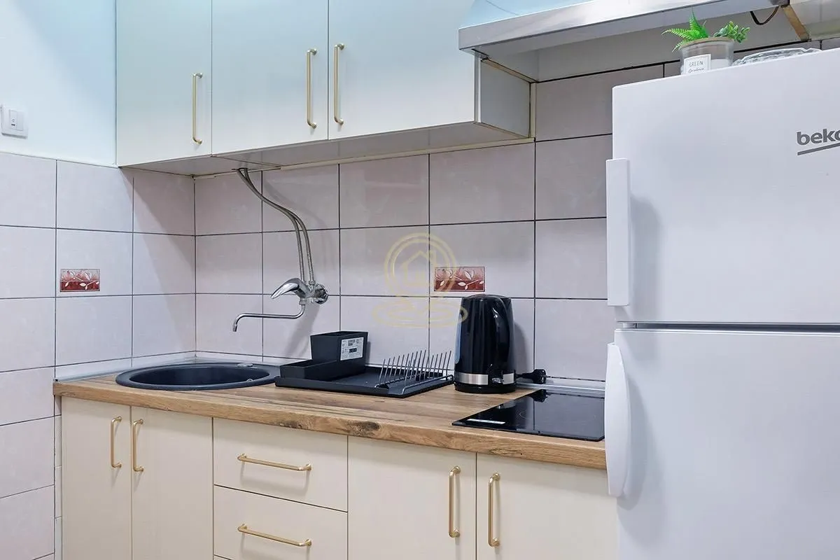 Rent, two bedroom apartment, 45m², Vračar Hram, Vračar Sve Podlokacije