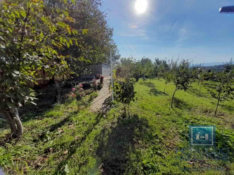 Prodaja, plac, 1331m², Kupusara, Jagodina