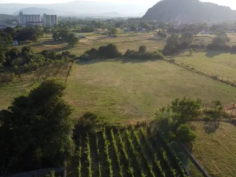 Prodaja, plac, 12000m², Spuž, Danilovgrad - image 3