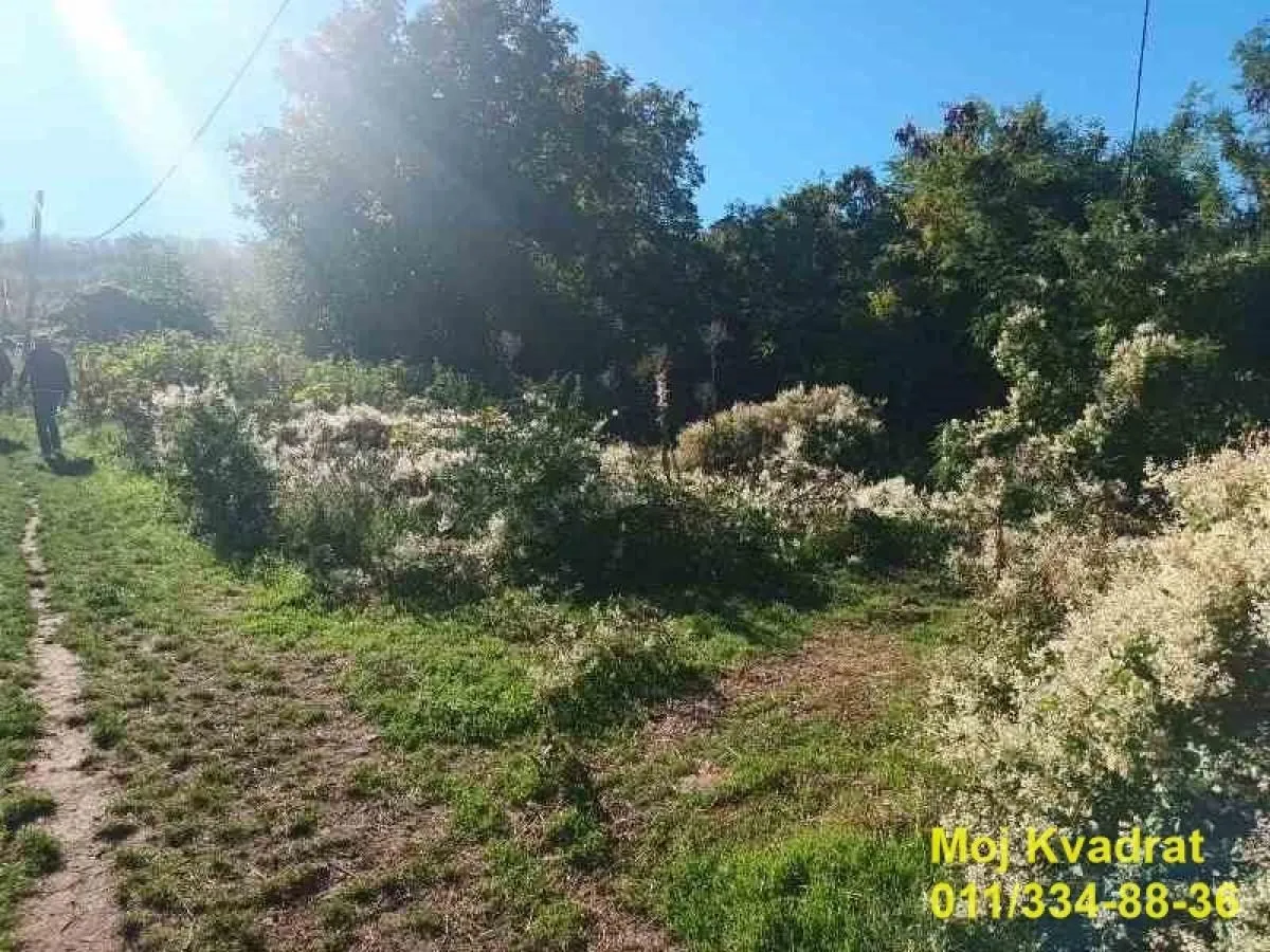 Prodaja, plac, 13956m², Smederevo, Srbija