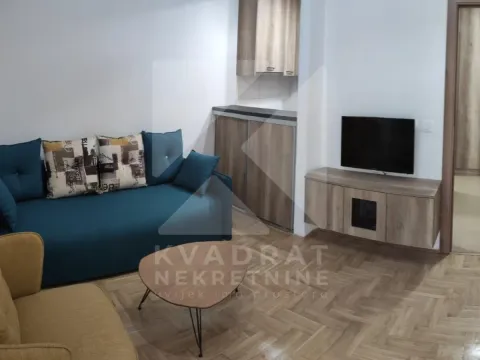 Rent, studio apartment, 25m², Vezirov Most, Podgorica - image 2