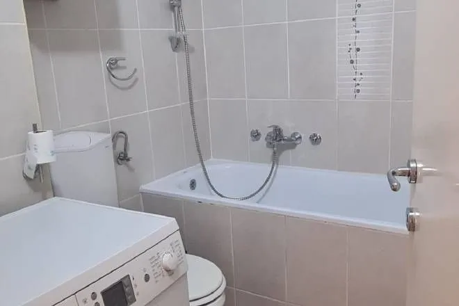 Rent, two bedroom apartment, 57m², Bežanijska Kosa Sve Podlokacije, Beograd