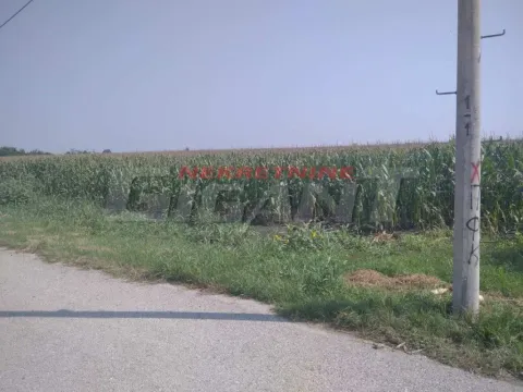 Sale, land lot, 8900m², Ovča, Palilula Sve Podlokacije - image 2