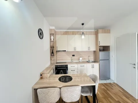 Izdavanje, jednosoban stan, 39m², Zagorič, Podgorica - image 3