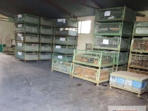 Izdavanje, poslovni prostor, 500m², Temerin, Novi Sad - image 3