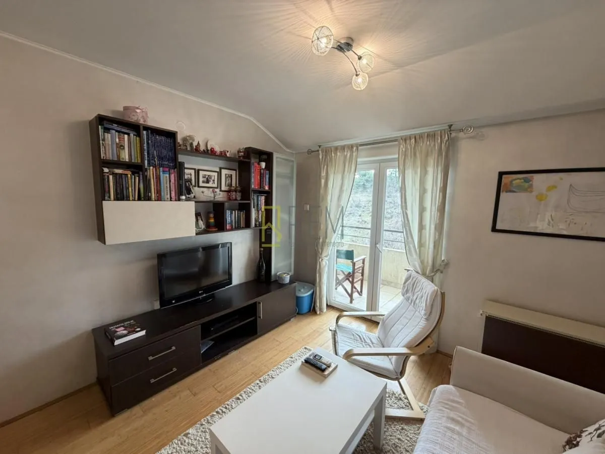 Rent, one bedroom apartment, 43m², Vezirov Most, Podgorica